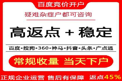 SEM托管公司案例分析：实战技巧全解析
